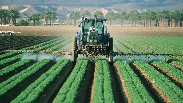 Bio – santé : quel impact des pesticides sur notre santé ?